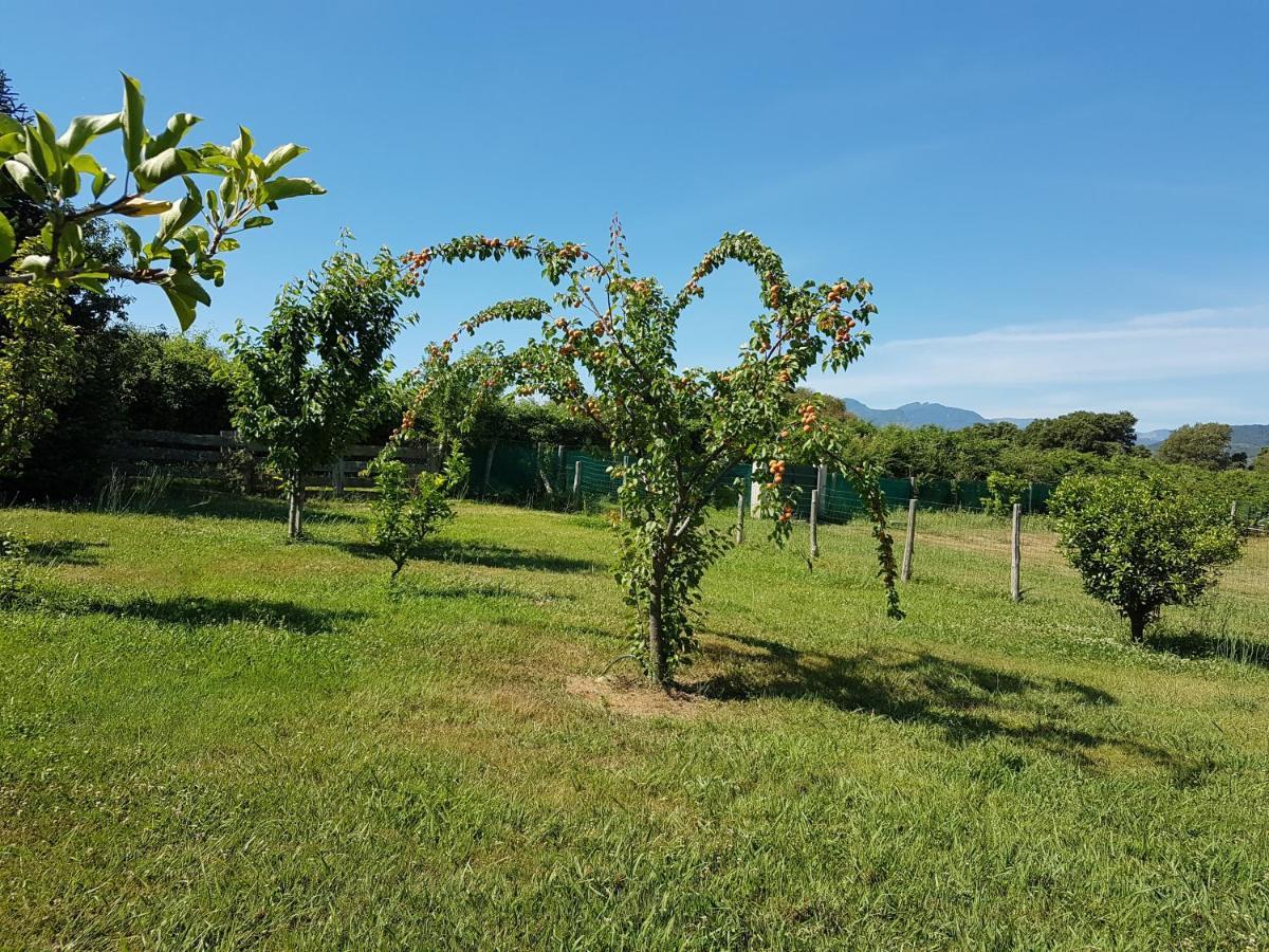 Monica Di Holiday home Sorbo-Ocagnano