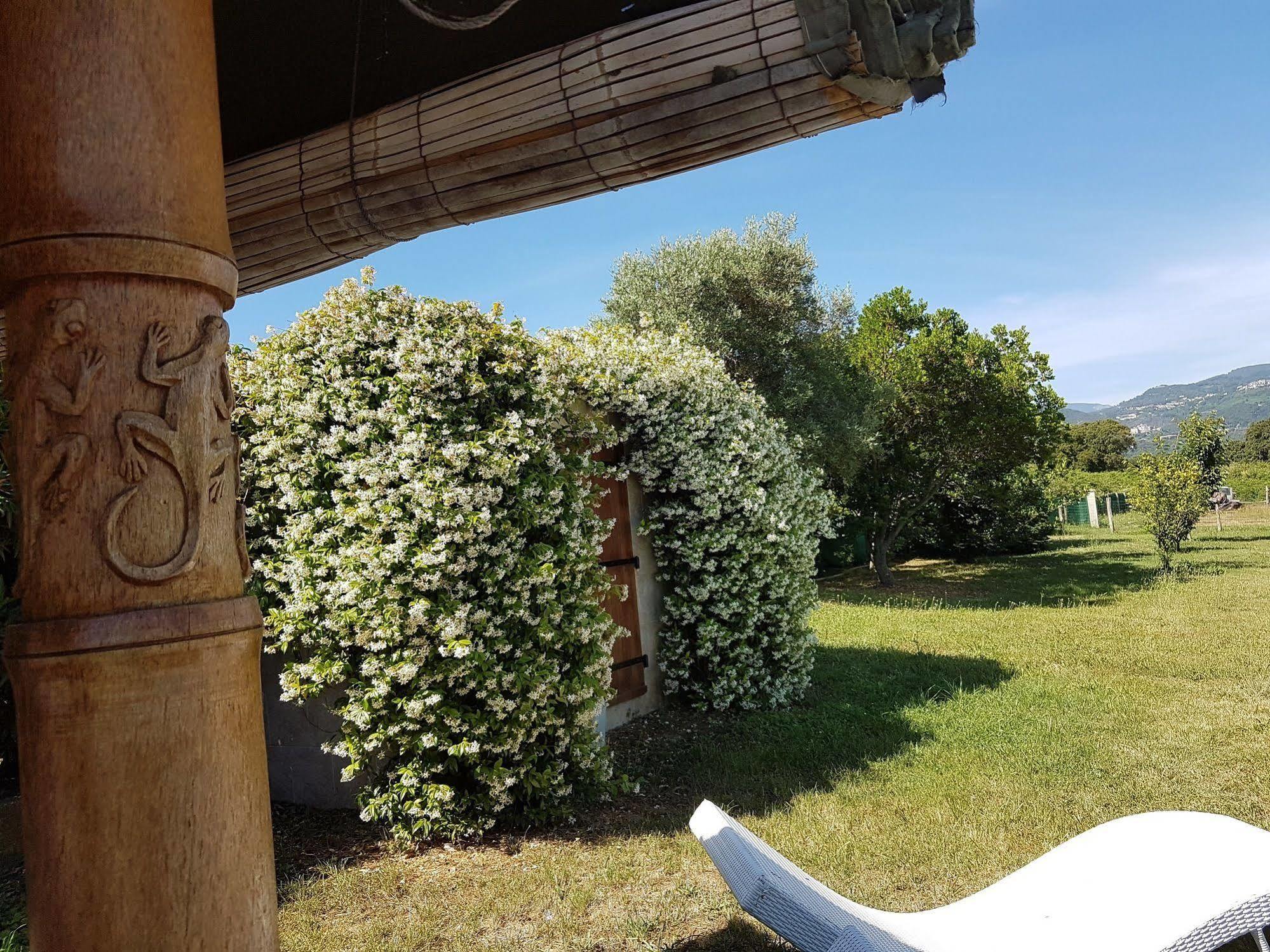 Casa de Férias Monica Di Sorbo-Ocagnano
