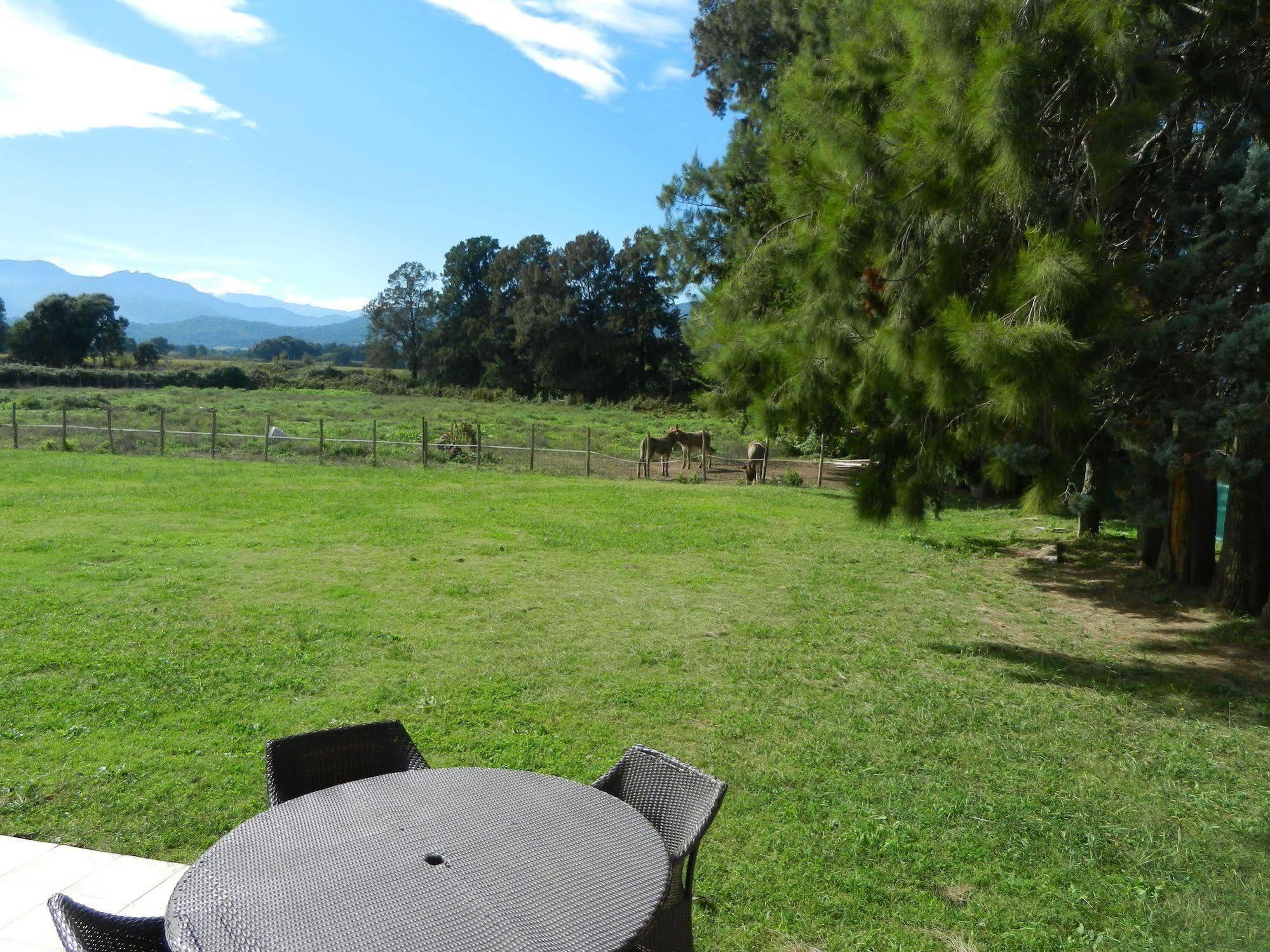Holiday home Monica Di *
